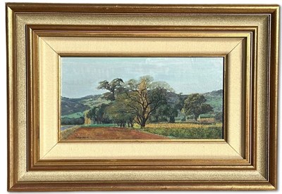 Lot 43 - Phillip Henry Cook b.1948.