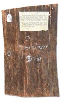 Lot 158 - Barramundi (Ngaldadmang) X-Ray Style Aboriginal Bark Painting.