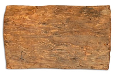 Lot 160 - Totemic Animals Aboriginal Bark Painting.