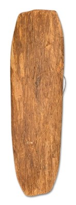 Lot 171 - Aboriginal Totemic Sea Creatures and Travel Lines Bark Painting.