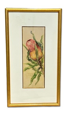 Lot 30 - Muriel Meikle Southern (Working 1920’s-1930's)